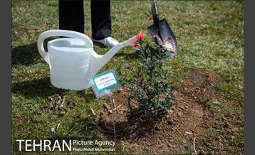 ۱۰۰ نهال به نام ۱۰۰ زن نامدار قرن 21