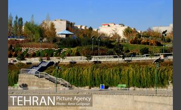 پاییز رنگارنگ بوستان جوانمردان ایران 24