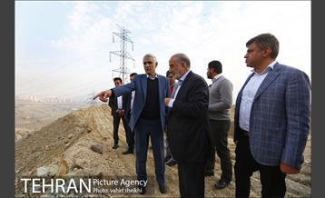 بازدید شهردار تهران از پروژه درختکاری کمربند سبز تهران  22