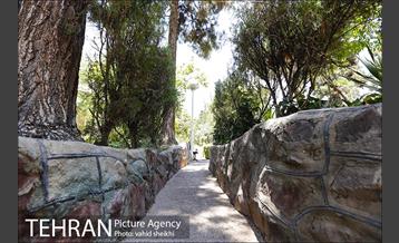 بوستان شفق 17