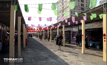 جشنواره انار «صد دانه یاقوت» 26