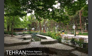 بوستان ساعی 8