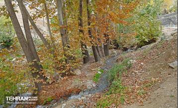 ­اکوپارک رود دره فرحزاد 45
