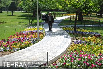 رویش گل های لاله در بوستان لاله 18