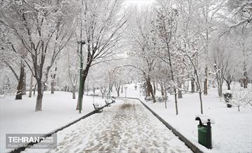 تهران برفی 4