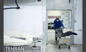 تطهیر و تدفین جانباختگان کرونایی در بهشت زهرا(س) 15