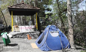 روز طبیعت در پارک جنگلی لویزان 38