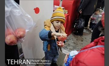 هفتمین جشنواره انار فرهنگسرای اشراق 9