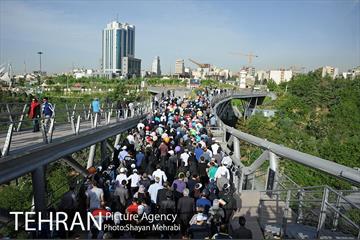 همایش پیاده روی خانوادگی کارکنان شهرداری 18