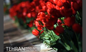 رویش گل های لاله در باغ ایرانی 19