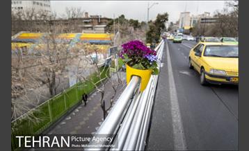 استقبال از بهار در خیابانهای تهران 13