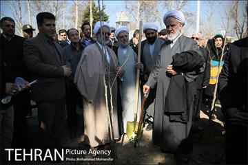 غرس نهال در بوستان بهاران 13
