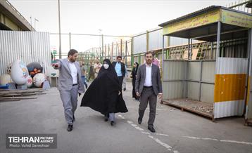 بازدید نرگس معدنی پور از منطقه 17