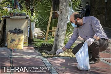 روز جهانی زمین پاک 15