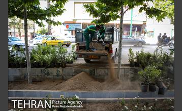 گلکاری در خیابان ولیعصر 7