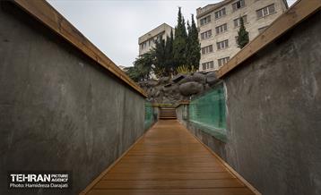 اقیانوس پارک  19