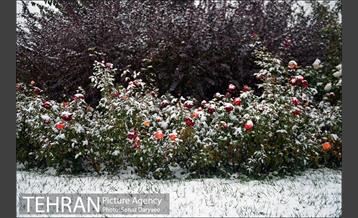 بارش برف پاییزی در تهران 4