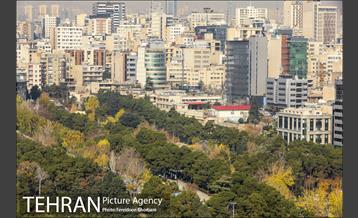 روزهای آفتابی زمستان 14