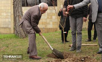 کاشت درخت توسط هنرمندان در فرهنگسرای نیاوران 5