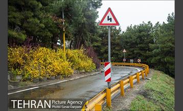 طبیعت بهاری پارک جنگلی لویزان‎  15