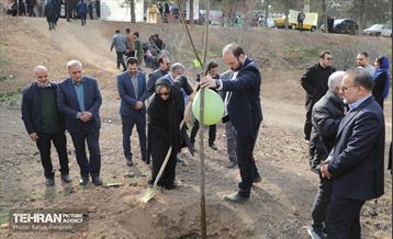 غرس ۲۷۸۲ نهال در سرخه‌حصار به یاد درگذشتگان جامعه پزشکی 15