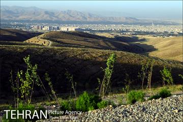 بازدید شهردار تهران از طرح‌های جنگل کاری شمال تهران  12