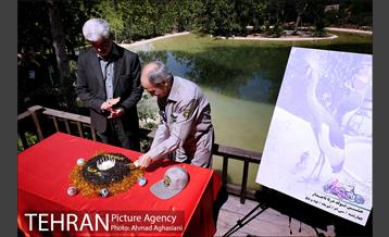 جشن تولد جوجه درنای تاج خاکستری آفریقایی 4