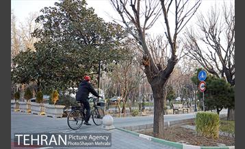 پویش سه شنبه های بدون خودرو 16