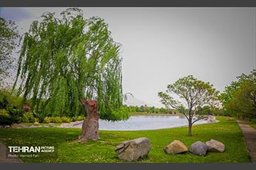 باغ گیاه‌شناسی 28