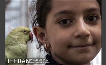 باغ پرندگان تهران 23