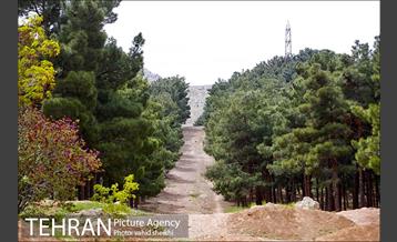 پارک ملی سرخه‌حصار 28