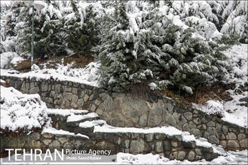 برف زمستانی پارک جمشیدیه 4
