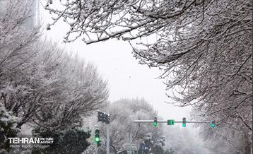 روز برفی در منطقه 6