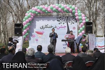 درختکاری و لانه گذاری کبوتر در بوستان بعثت 16