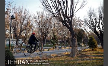 پویش سه شنبه های بدون خودرو 17