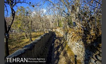 کوچه باغ های محله کن 38