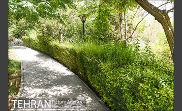 بوستان بهشت مادران 27