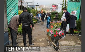 بازار گل و گیاه غرب تهران در آستانه نوروز 32