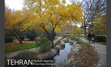 باغ گیاه‌شناسی ملی ایران 49