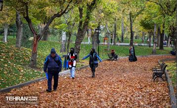 سمفونی رنگ های پاییزی - پارک ملت 12