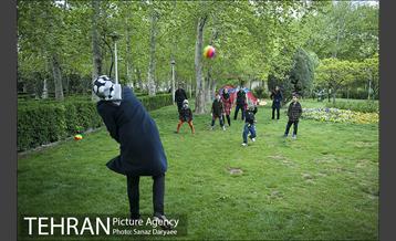 روز طبیعت بارانی در بوستان لاله 8