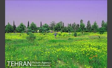 تهرانگردی احمد مسجدجامعی در منطقه 22‎ 4