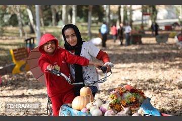 گذر پاییزی بوستان بعثت 8