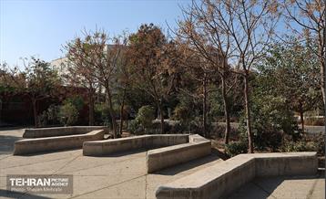 به وقت خدمت؛ باغ‌راه حضرت زهرا(س) محدوده آیت الله سعیدی 69