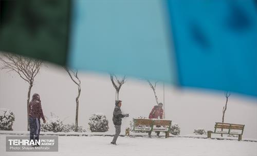 بارش برف زمستانی در تهران 24