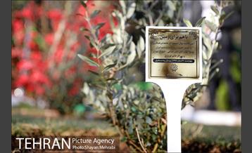 آیین کاشت نهال دوستی با حضور همسران دیپلمات مقیم ایران 29