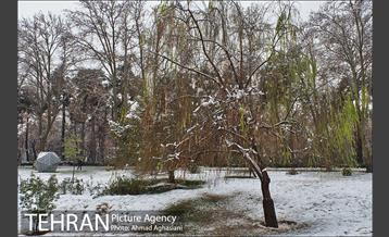 روز برفی میدان مشق و پارک شهر تهران 7