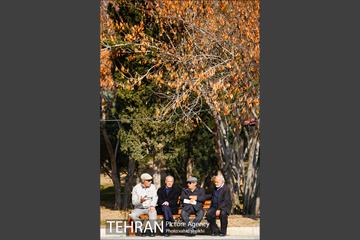 بوستان پرواز 36