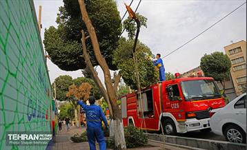 وزرش باد و طوفان در تهران 16