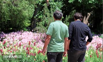 طبیعت بهاری در باغ ملی گیاهشناسی ایران 9